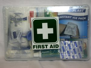LARGE CLEAR CASE & CONTENTS